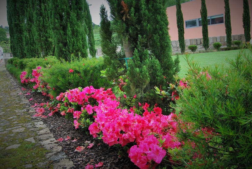 Hotel Quinta Da Cruz & Spa Oliveira  Dış mekan fotoğraf